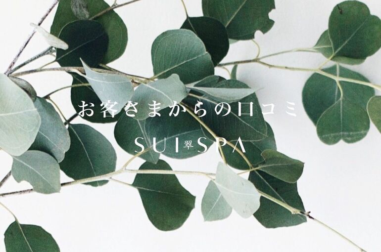 Screenshot_20231119_090840_Instagram